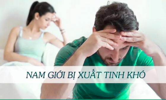 1758616393284555.png Thiết kế chưa có tên (69).png