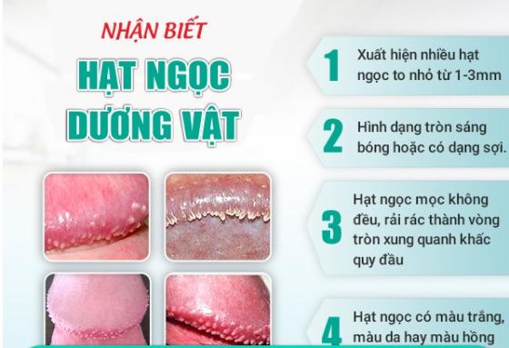 1758619973860670.jpg 26.jpg