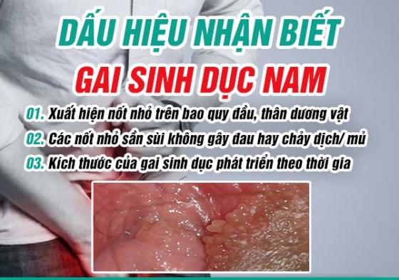 1758620271572197.jpg 27.jpg