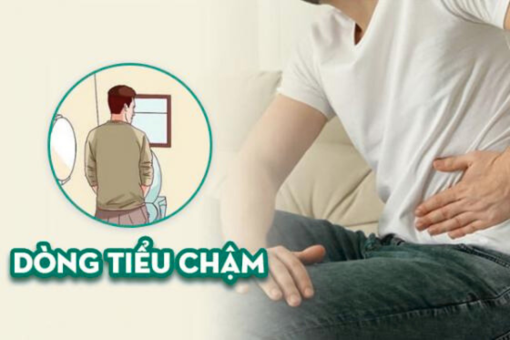 1758681171818316.png Thiết kế chưa có tên (71).png