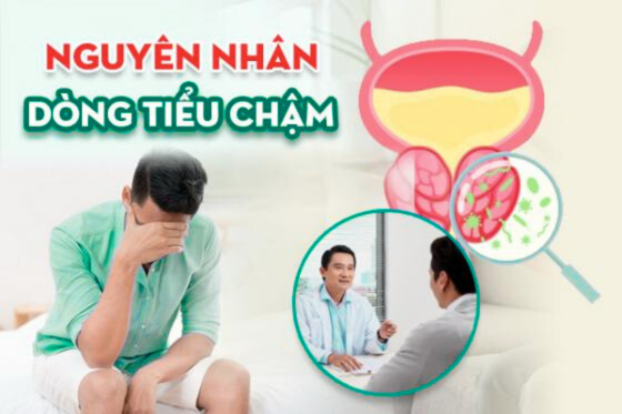 1758681183885577.png Thiết kế chưa có tên (70).png