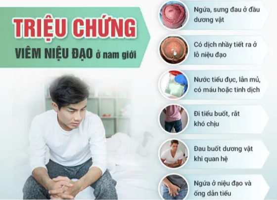 pk-binh-duong (6).png