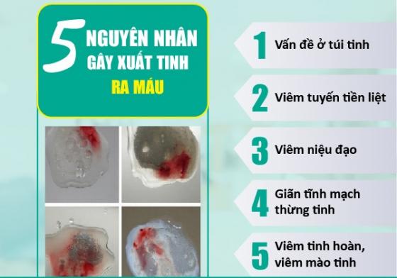 1759397370842131.jpg 74.jpg