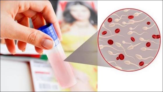 1759397789586661.jpg 75.jpg