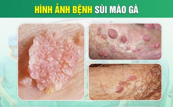 1759459109748800.jpg 20.jpg