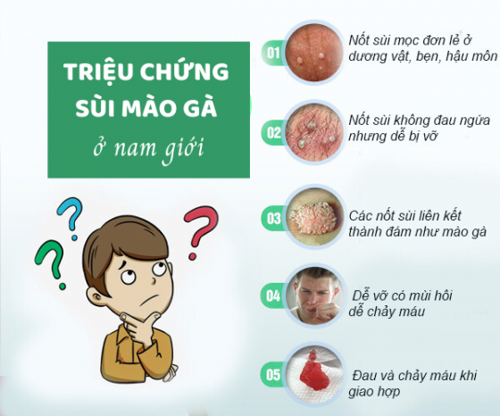 1759459120774073.png TRIỆU CHỨNG SÙI MÀO GÀ Ở NAM GIỚI.png