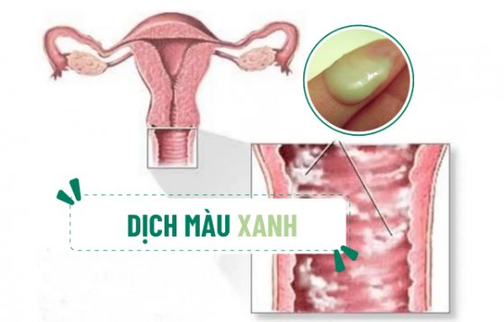 phong-kham-binh-duong - 2025-10-14T133316.331.png