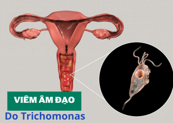 phong-kham-binh-duong - 2025-10-14T133726.024.png