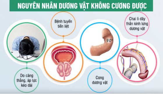 chua-benh-hieu-qua (79).png