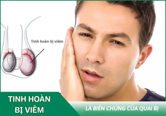 1760934397358862.png chua-benh-hieu-qua (81).png