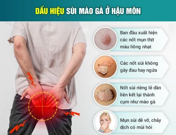 1761209778237346.jpg 59.jpg