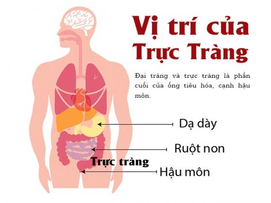 1761383327212407.jpg 73.jpg