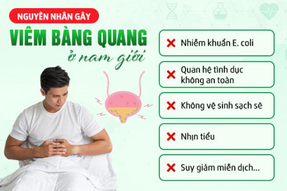 1780975481842017.jpg viem-bang-quang-nguyen-nhan.jpg